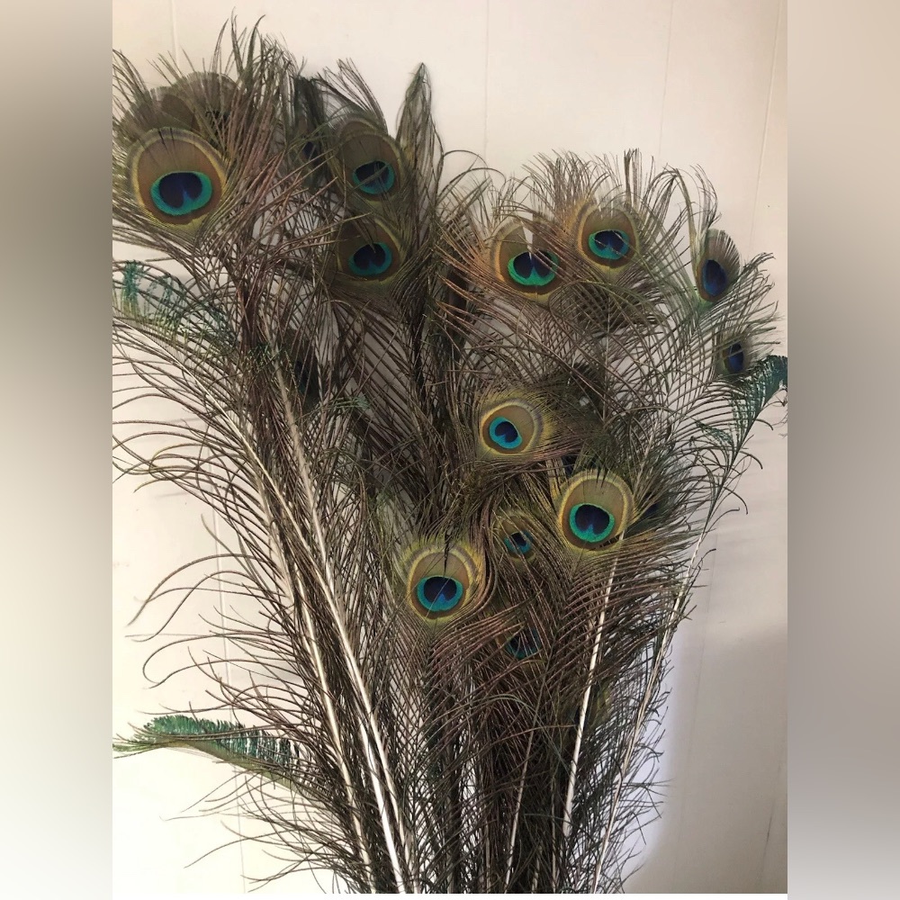 COPY - 30 Peacock Feathers 14 To 36 Inches Long, Support Small Farms, Decor Wed…